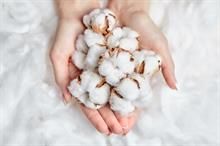 US cotton net export sales rise: Upland up 7%, Pima gains 51%