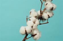 ICE cotton hits 2-year lows, traders waiting to buy at low prices