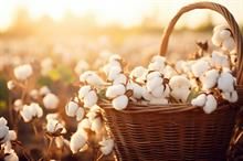 ICE cotton sees mild gains, market lacks clear trigger