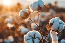 ICE cotton edges up on short covering; traders remain cautious