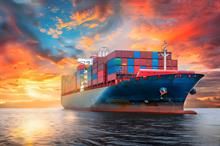 Global freight forwarding market normalises amid soft demand: Report