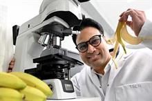 UK researchers turn banana waste to green textiles, renewable energy