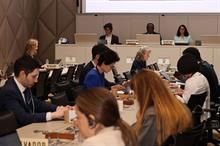 WTO members review 4 regional trade agreements in CRTA meeting