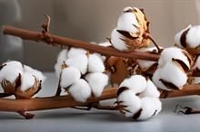 Global economic & political turmoil drive ICE cotton to 4-year low