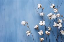 ICE cotton continues to rise on weaker dollar, crop worry