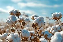 US Upland cotton sales down 7%, Pima 4% this week: USDA