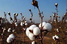 ICE cotton jumps over 2% as US Fed rate cut weakens dollar