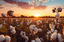 ICE cotton remains range-bound amid hurricane threats, demand concerns