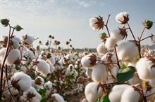 ICE cotton inches up amid crude oil surge, USDA report anticipation