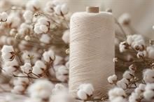 North India cotton yarn prices rise; optimism grows from US rate cut