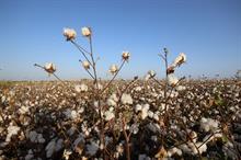 US Upland cotton sales up 21%, Pima 6% this week: USDA