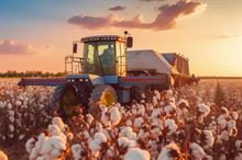 Liquidity rises in Brazil’s cotton market in Nov; prices remain low