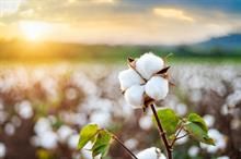 US Upland cotton sales down 33%, Pima 60% last week: USDA