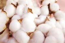 Global cotton benchmarks ease over past month
