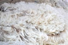 Australian wool market gains on strong merino demand