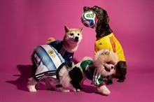 Adidas launches FIFA World Cup 2026 pet jersey collection
