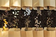 BASF to invest $43.2 mn in Nunhem seed facility upgrade