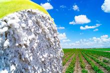 US cotton exports fall sharply amid cautious buying