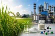 Japan’s Nissan Chemical to build Ryzonic herbicide plant in India