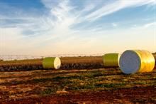 US Upland cotton sales rise 21%; Pima rebounds sharply: USDA