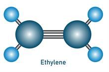 Three Japanese chemical giants push ethylene decarbonization plan
