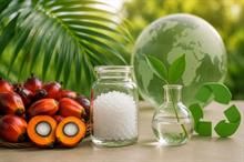 South Korea's SONGWON gains RSPO for sustainable additives