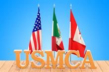 Mexican prez willing to discuss merits of USMCA with Trump if needed