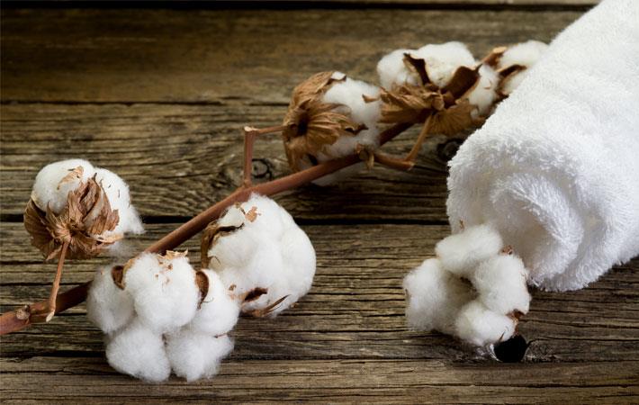 Cotton 2040 working to increase sustainable cotton