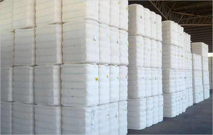 Cotton trading pace slows down in Brazilian market