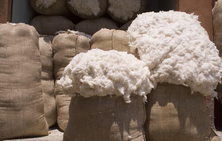 Global cotton trade grows 20% during 2016-18