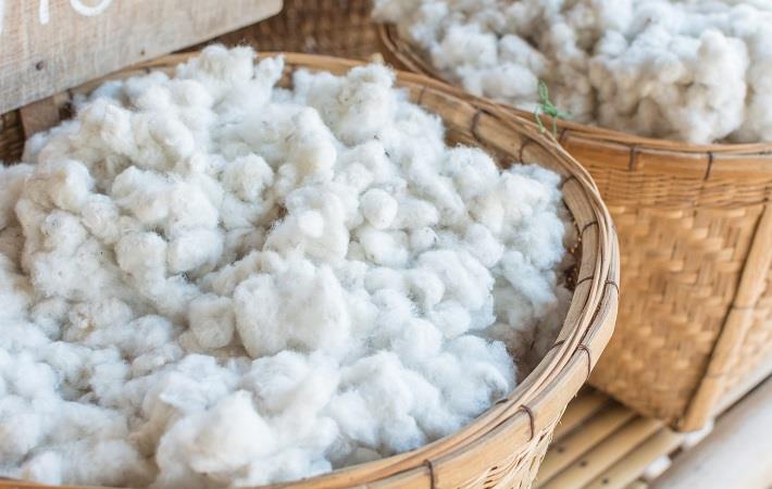 Gots Detects Evidence Of Organic Cotton Fraud In India Fibre2fashion