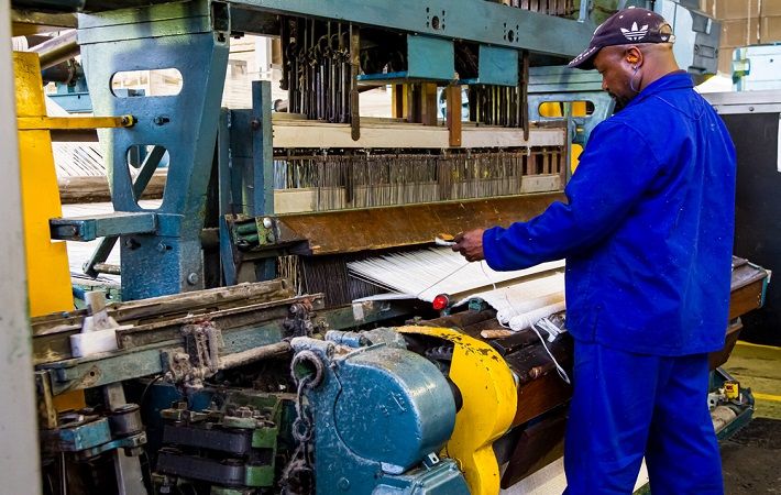 Pic: Sunshine Seeds / Shutterstock.com