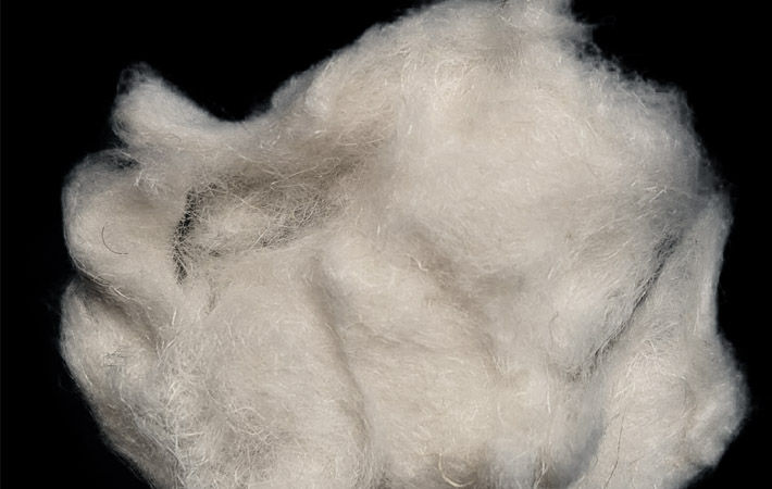 Pic: Bast Fibre Technologies