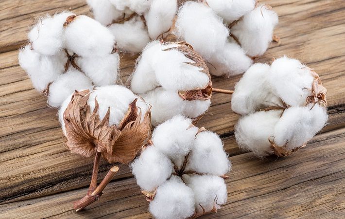 Posco International Textile to build Uzbek cotton textile cluster - Vimarsana News