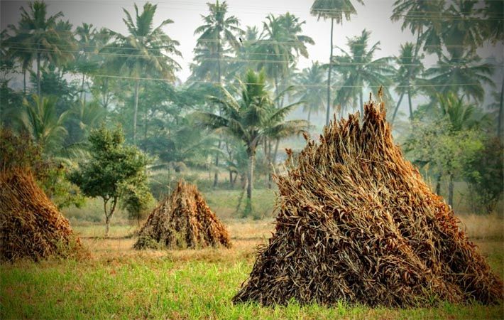 Netherlands' Fashion for Good converts agricultural waste to fibres - Vimarsana News