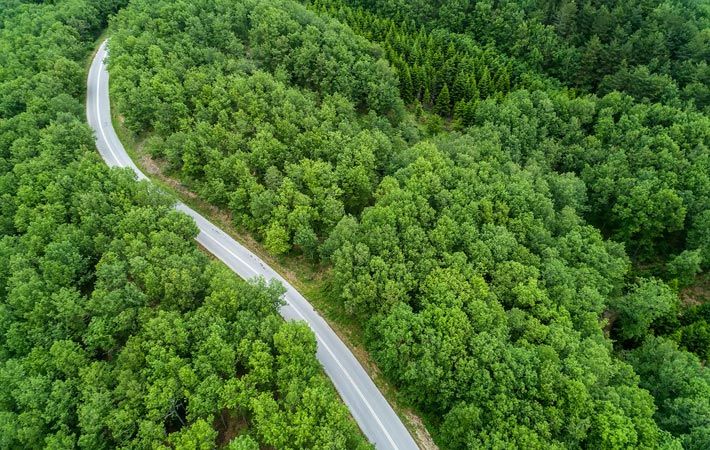 US' Standard Fiber launches new carbon offset initiative - Vimarsana News