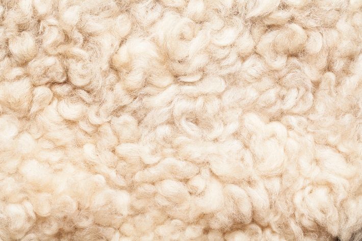 Australian wool auctions favour buyers this week
