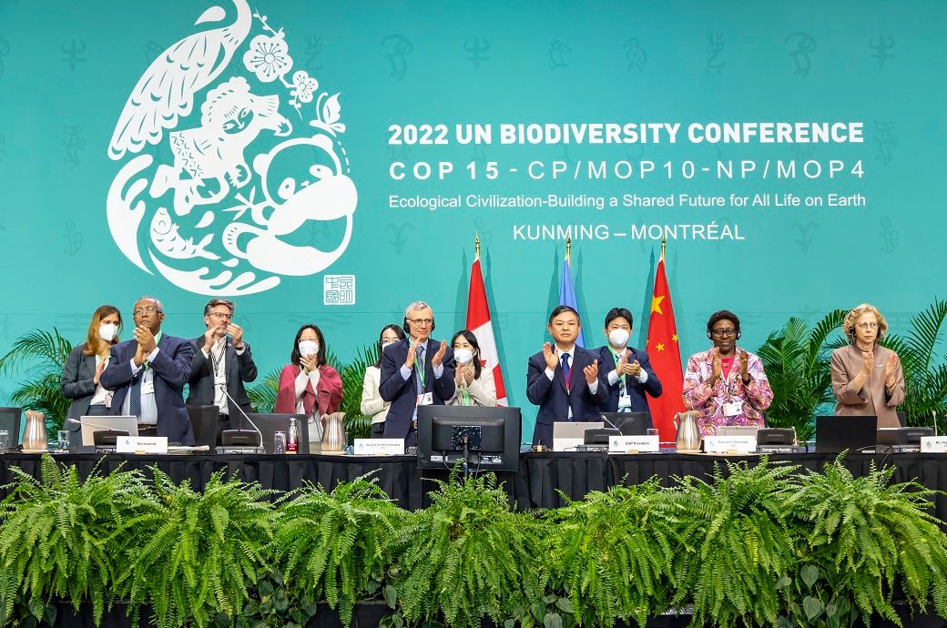 Representatives of nations at the UN Biodiversity conference COP15. Pic: Convention of Biological Diversity