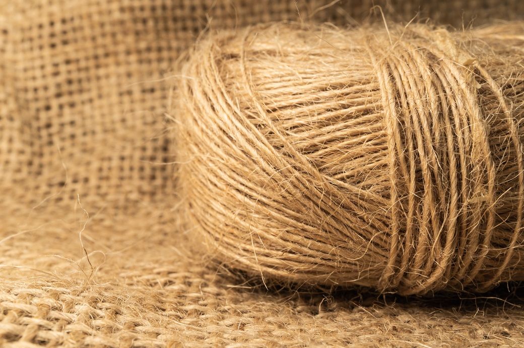 India aims to expand jute production with JCI support in new states