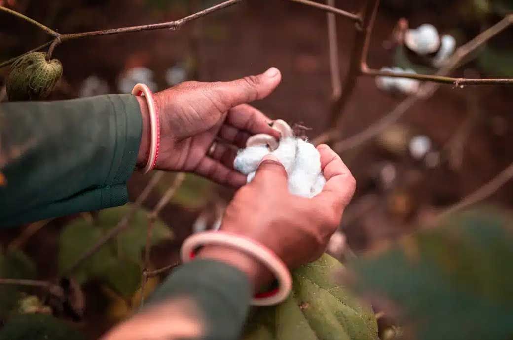 Pic: Better Cotton