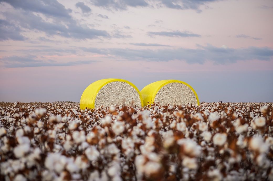 US cotton production projected to reach 16.5 mn bales in June 2023