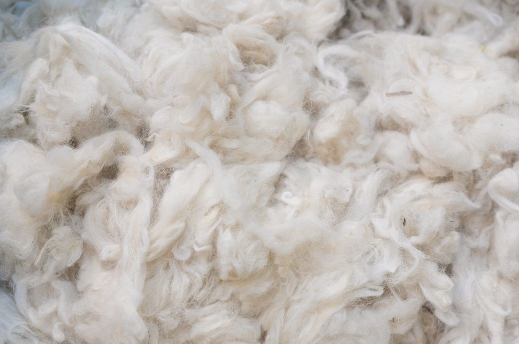 Australian wool auction ends year with record highs - Fibre2Fashion
