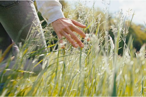 Switzerland’s OEKO-TEX releases new regulations for 2024 