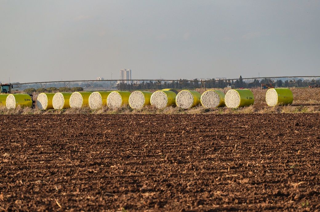USDA cuts global cotton ending stock estimate to 83.03 mn bales: WASDE