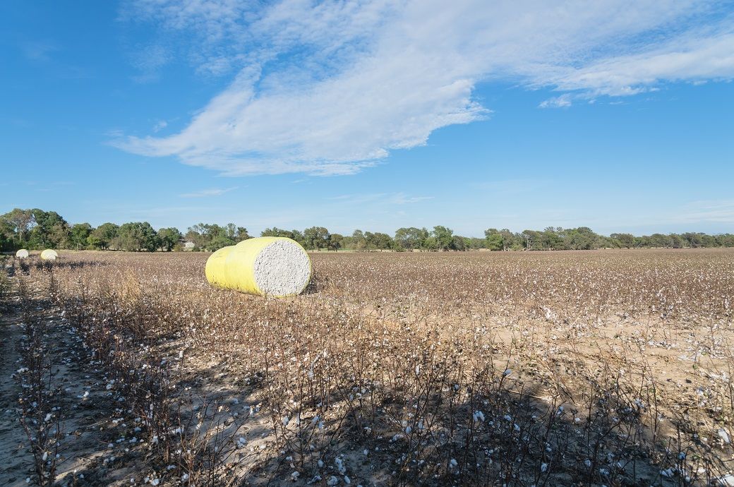 ICE cotton slightly up; sentiments weak amid strong dollar, weak oil