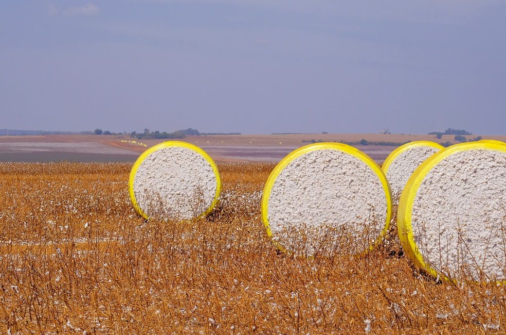 ICE cotton prices surge amid crop concerns & weaker US dollar