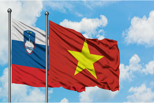 Enough scope for Vietnamese firms to invest further in Slovenia: CCIS