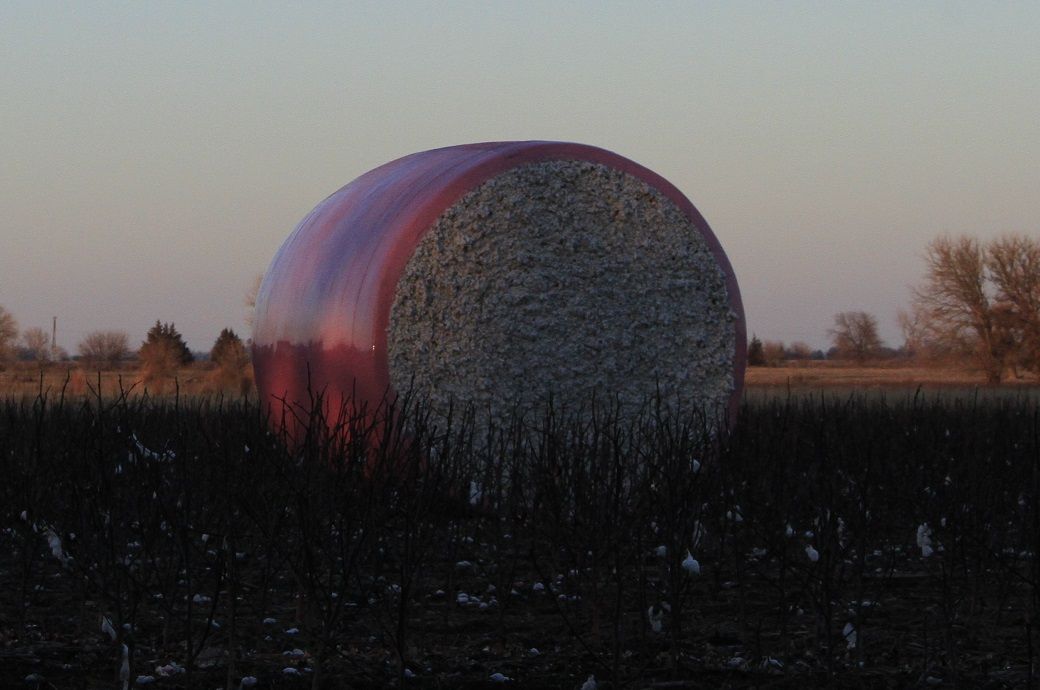 ICE cotton records modest gains following heavy sell-off