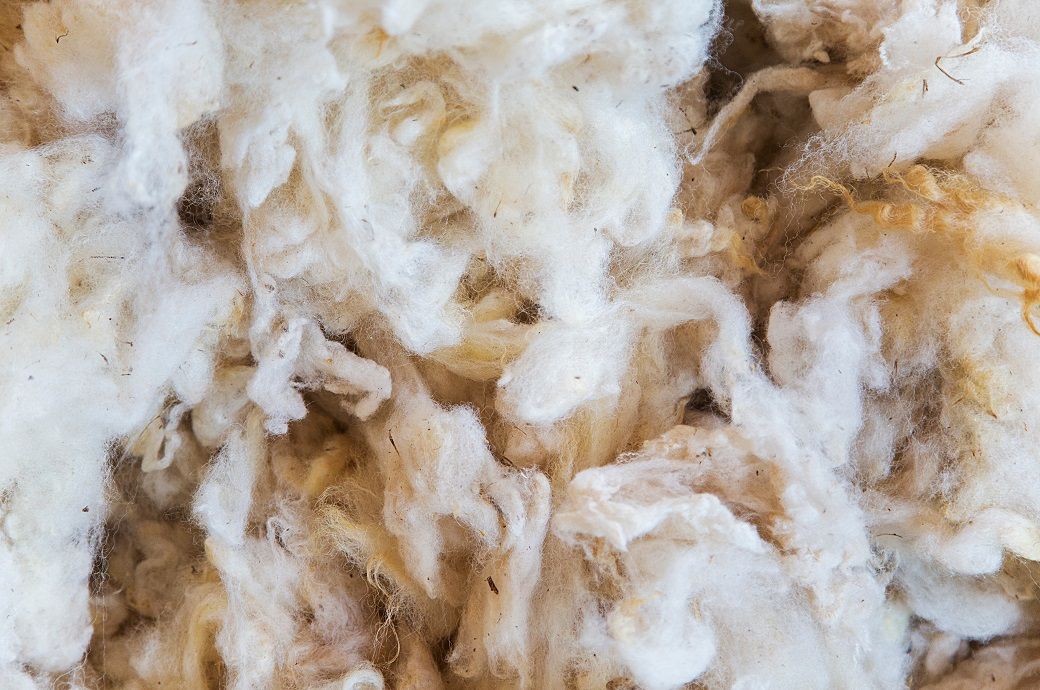 Australian wool market sees minimal price movement this week