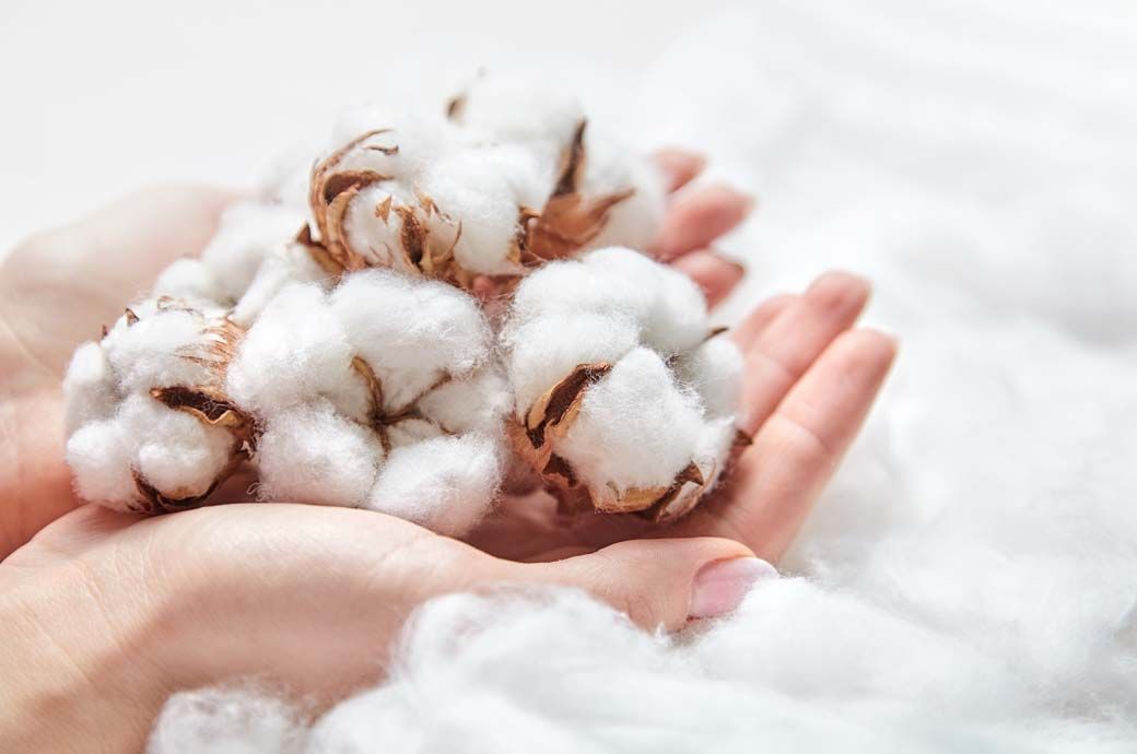 Vietnam, Bangladesh to drive cotton trade growth over 10 years: Report